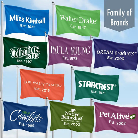 Various brand flags on poles displaying names and establishment years in colorful designs against a blue sky backdrop.