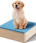 Golden retriever puppy on Dog Training Platform With Non Slip Surface Place Board For Agility Obedience Training Portable Pivot Box Blue
