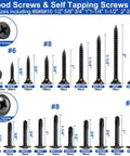 All In One Wood Screws Assortment Kit With Portable Box Self Tapping And Self Drilling Phillips Flat Head Black Screws In 410 Stainless Steel Heavy Duty Pro Grade Sizes 6 8 10 18 displayed by size with labels showing #6, #8, #10.
