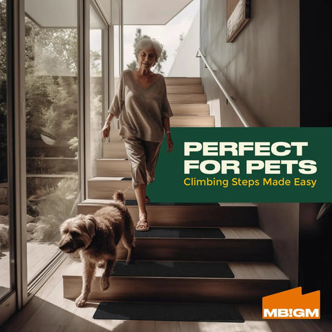 Elderly woman and dog on stairs with 8-Pack Non Slip Outdoor Stair Treads For Steps And Decks 8x30 Inch Grip Tape Adhesive Strips