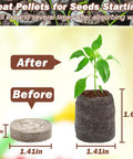 Comparison of 55 Pack 36mm Peat Pellets for Seedlings before and after expansion with seedling growth.