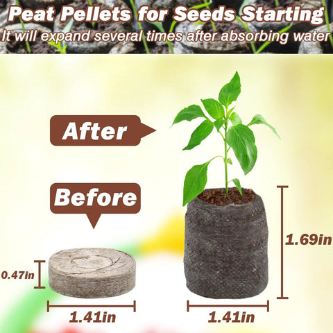 Comparison of 55 Pack 36mm Peat Pellets for Seedlings before and after expansion with seedling growth.