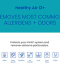 Image of Healthy Air 13+ benefits, highlighting removal of allergens and odors including pollen, mold, bacteria, pet dander, dust, and odors.