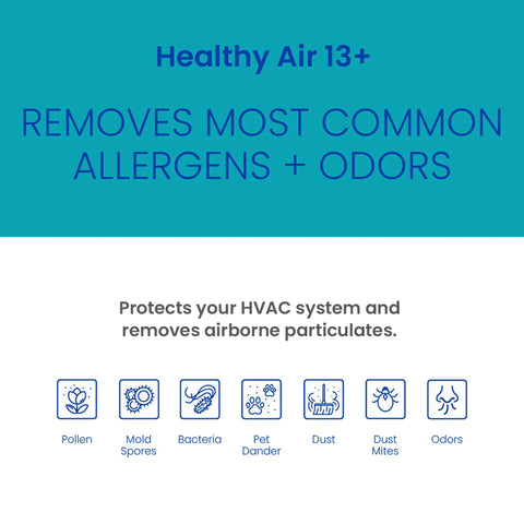 Image of Healthy Air 13+ benefits, highlighting removal of allergens and odors including pollen, mold, bacteria, pet dander, dust, and odors.