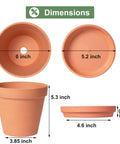 Dimensions of 6 Inch Terracotta Clay Pots With Saucers Pack Of Four For Indoor And Outdoor Home Gardens With Drainage Holes