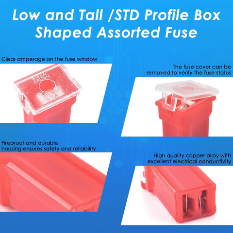 304 Piece All In One Car Fuses Kit with Standard Mini and Low Profile fuses, red 50A box shaped fuse highlights.