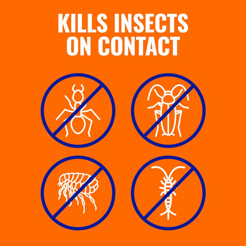 Ant Killer Plus Multi Purpose Insect Control For Outdoors Kills Insects on Contact Icon