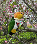 Parrot wearing Bird Diaper Harness Tuxedo Flight Suit With Waterproof Inner Layer For Parrots Cockatiels Conures in a garden
