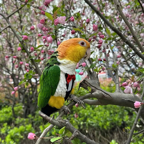 Parrot wearing Bird Diaper Harness Tuxedo Flight Suit With Waterproof Inner Layer For Parrots Cockatiels Conures in a garden