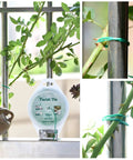 328 Feet Green Garden Twist Ties with Cutter Plastic Coated Wire securing plant stems on trellis in garden setting