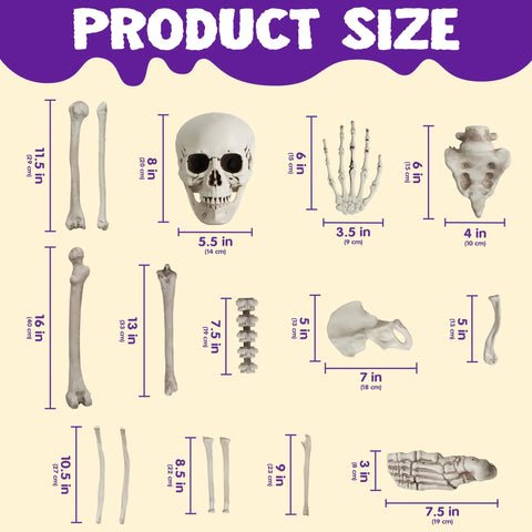 28 Piece Skeleton And Skull Halloween Decor Kit with size dimensions, realistic bones including skull, hands, and backbone.