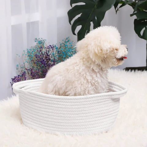 White dog sitting in a 12x8x5 inch boho woven rope basket with handles for pet toys, home decor, organizer bin, gift basket.