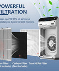 Three Pack Replacement True HEPA Filters 115115 for Winix PlasmaWave 5300-2 C535 P300 6300-2 5300 9000 Air Purifiers diagram
