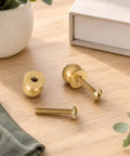 Real Deal Quality Top Shelf Solid Brass Mini Knobs One Half Inch Gold Drawer Pulls Four Pack With Screws on wood surface