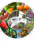 Flower Scissors Set Two Pack Heavy Duty Thickened Stainless Floral Shears for Precise Pruning of various fruits and plants
