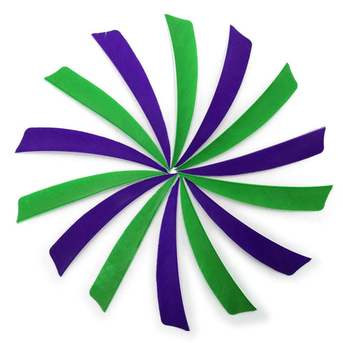 Circular arrangement of 60 Piece 4 Inch Arrow Feathers Right Wing Shield Cut Fletching in green and purple for arrows.