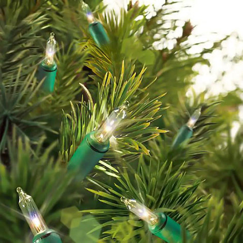 Clear Mini Christmas Lights 100 LEDs, Green Wire, Indoor Outdoor, 2 Pack, close-up on pine branches