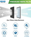 Six Pack HEPA Filter Replacement For Honeywell HPA Series Air Purifiers, illustration of filter process and particles removed.