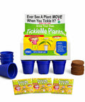 Deluxe Family Greenhouse Kit For Indoor Gardening Lovers Grow A Playful Touch Me Not Plant Includes blue pots and soil pellets