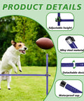 Dog jumping over hurdle in Heavy Duty Metal Dog Agility Course Set For Backyard Training With Adjustable Height Jumps And Hurdles Rust Resistant Alloy Steel Obstacle Course Three Pack