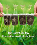 Hands holding 10 Pack Seed Starter Tray Kit with Humidity Dome 120 Cell Trays for Germination and Seedlings, roots visible