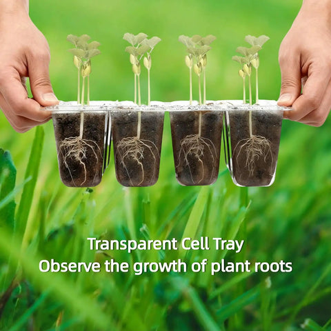 Hands holding 10 Pack Seed Starter Tray Kit with Humidity Dome 120 Cell Trays for Germination and Seedlings, roots visible