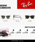 Clubmaster Low Bridge Fit Square Sunglasses With G-15 Green Lenses, 55mm Tortoise On Gold Frame, Unisex Shades, Front View