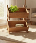 Kickstart Your Storage Game With This Sleek Two Tier Wooden Shelf, Rich Walnut Finish Solid Wood Floor Organizer, Compact No Sweat Clutter Crusher To Keep Your Apartment Super Tidy And Ready - Two tier walnut shelf with books and a plant.