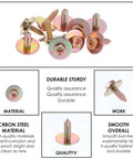 Close-up of 160Pcs Car Screw And Retainer Clip Kit With 14 Sizes Phillips round head self-tapping screws highlighting material quality