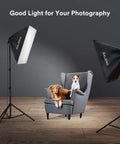 Softbox Lighting Kit 20x28-Inch With Dual 50W Daylight LED Bulbs 5500K TLCI 97 illuminating two dogs on a chair in home studio.