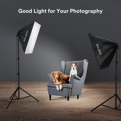 Softbox Lighting Kit 20x28-Inch With Dual 50W Daylight LED Bulbs 5500K TLCI 97 illuminating two dogs on a chair in home studio.