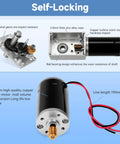 12V DC Worm Gear Motor With 12 Rpm Low Speed High Torque 70 Kg Cm Self Locking Reversible Gearbox showing internal parts