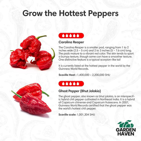 Reaper Ghost Pepper All In One Starter Grow Kit With Seeds And Growing Supplies For Beginners Includes Bhut Jolokia Seeds