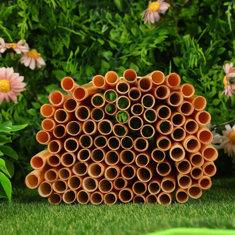 Close-up of Mason Bee Tubes 300 Pack 6 Inch Pollinator Tubes For Beekeeping Outdoor Nesting Tubes Replacement Reed
