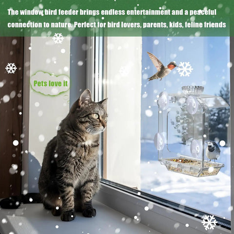 Clear Window Bird Feeder With Ultra Strong Suction Cups Dual Seed Tray And Water Bowl Easy To Install And Clean in use on window