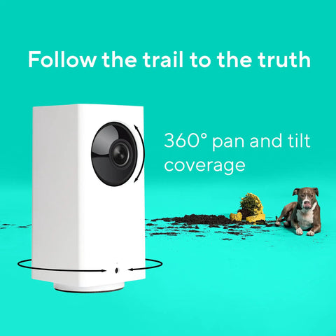360 Degree Indoor PTZ Pet Cam With Color Night Vision Remote App Control Pan Tilt Zoom Auto Waypoints perfect for monitoring pets.