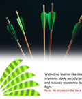Shield Cut Arrow Vanes 20 Pack 3 Inch Turkey Feather Fletchings Fluorescent Green shown on arrows in black background