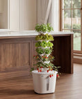 Vertical Hydroponic Tower With 6 Tiers And 30 Pods, App Controlled Indoor Garden with herbs and fruits in a modern kitchen