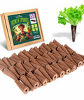 150 Pack Grow Sponges for Hydroponics Replacement Seed Pods Compatible with AeroGarden and iDOO, sponges arranged with box and lettuce