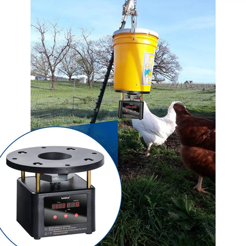 Programmable Automatic Chicken Feeder With Digital Timer Kit For Chickens Ducks Geese Featuring Metal Spin Plate And Adjustable Mount To Dispense Feed Efficiently And Save Time Daily With Reliable Poultry Care Solutions
