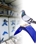 Eight-Piece Pigeon Perches For Racing Pigeons And Birds, Lightweight Plastic Dove Rest Stand installed in loft cages