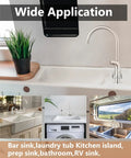 Two Handle High Arc Kitchen Faucet With Side Sprayer In Slick Brushed Nickel Finish, shown above a modern sink setup.