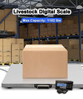 Heavy Duty Workhorse Electronic Platform Scale Built Tough For Livestock Shipping Large Breed Dog Weighing Multi Purpose Commercial Stainless Steel Floor Ready Station with box on deck.