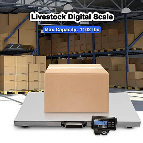 Heavy Duty Workhorse Electronic Platform Scale Built Tough For Livestock Shipping Large Breed Dog Weighing Multi Purpose Commercial Stainless Steel Floor Ready Station with box on deck.