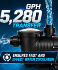 Built Like A Tank Dual Speed In Ground Swimming Pool Pump And Spa Hot Tub Filter Rig 1.75HP 230V with 5280 GPH flow.