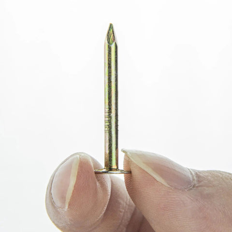 Pro Grade Galvanized Roofing Nails One Quarter Inch Shank Fifteen Degree Coil Fasteners With Solid Round Heads held in hand.