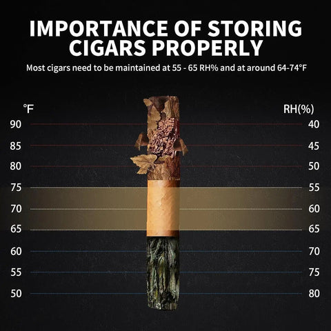 Infographic showing the importance of storing cigars properly with ideal temperature and humidity ranges.