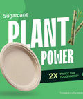 Heavy Duty 9 Inch Compostable Paper Plates 125 Pack Made From Sugarcane Bagasse Biodegradable Unbleached Brown Dinner Plates