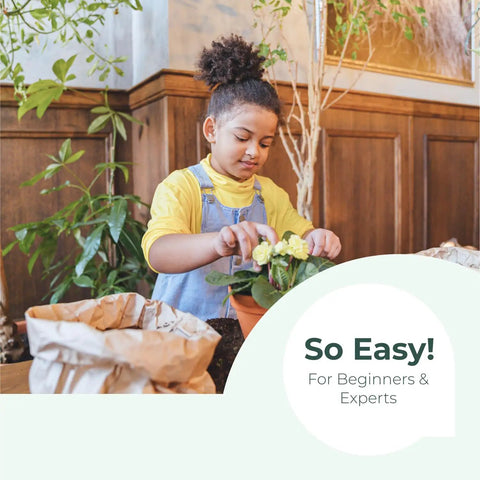 Child planting with No Mess Indoor Garden Starter Kit With Mini Greenhouse Humidity Dome And 3-Pack Reusable Seedling Trays