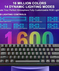 Slick Sixty Percent Wired Mechanical Keyboard Featuring Hall Effect Magnetic Switches With Adjustable Rapid Trigger Mode And An Insanely Fast 8000Hz Polling Rate Plus Hotswappable Pcb And Fully Customizable Rgb For Gamers Locked Into Dominant Gameplay with RGB lighting controls.
